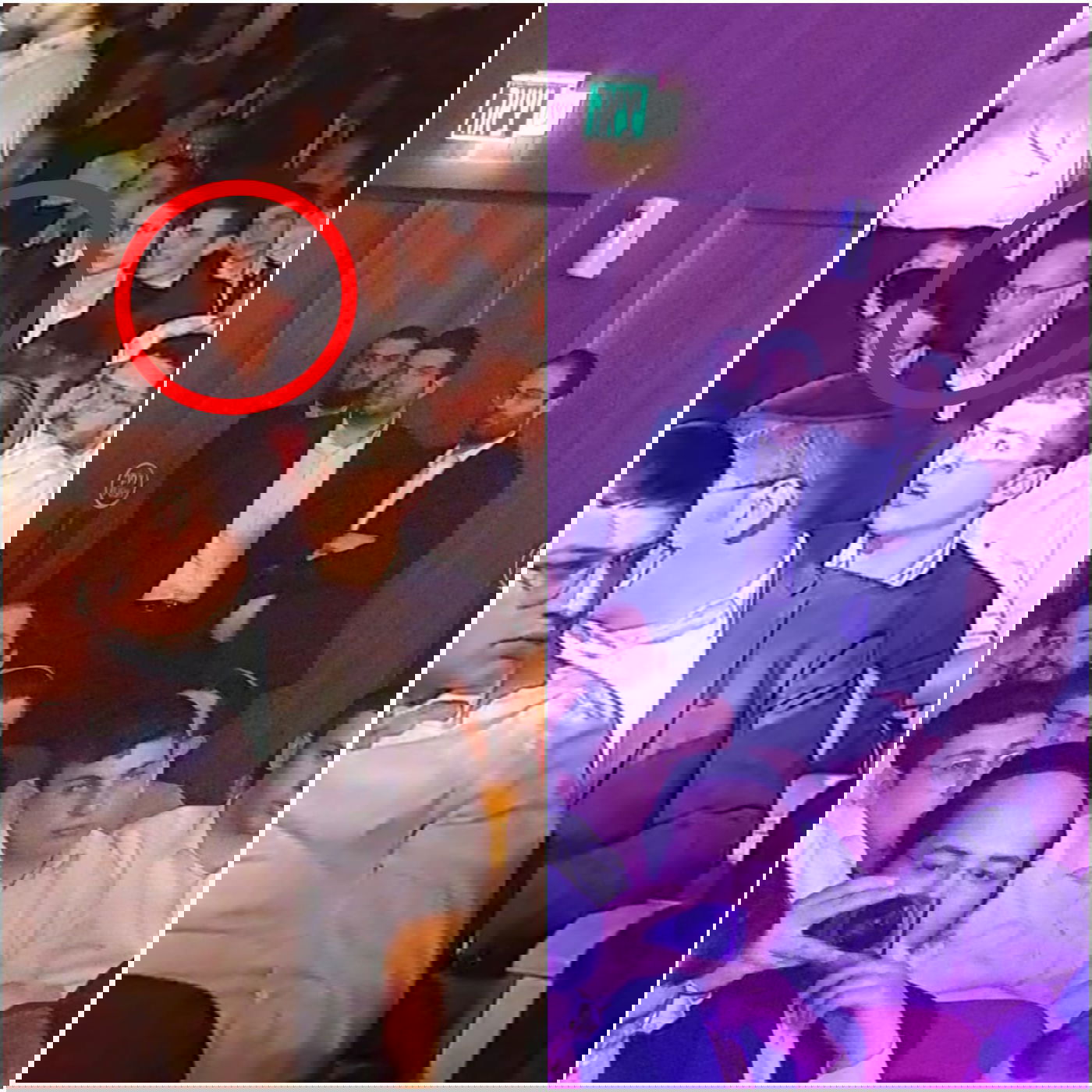 זופניק בכיכר • כל התמונות, הנייעס והחשיפות של פסח והמסתעף