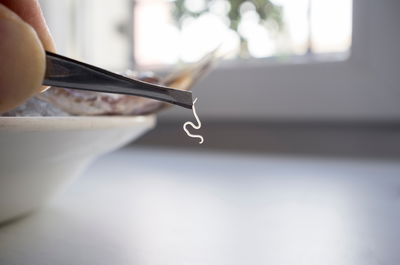 תולעת באוכל | אילוסטרציה