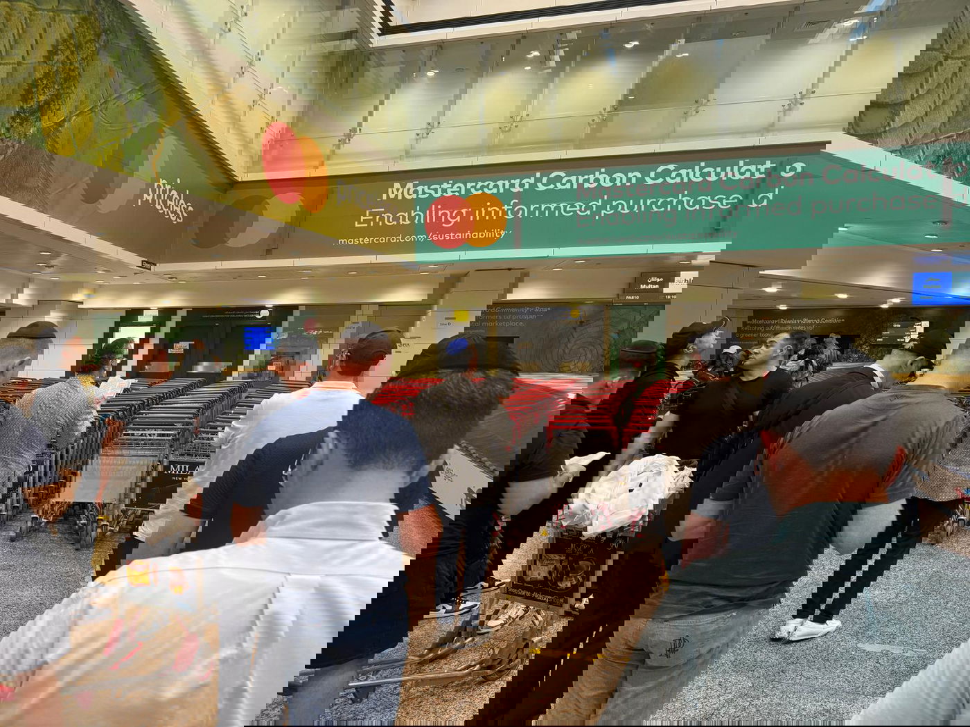 זופניק בכיכר • כל התמונות, הנייעס והחשיפות של פסח והמסתעף