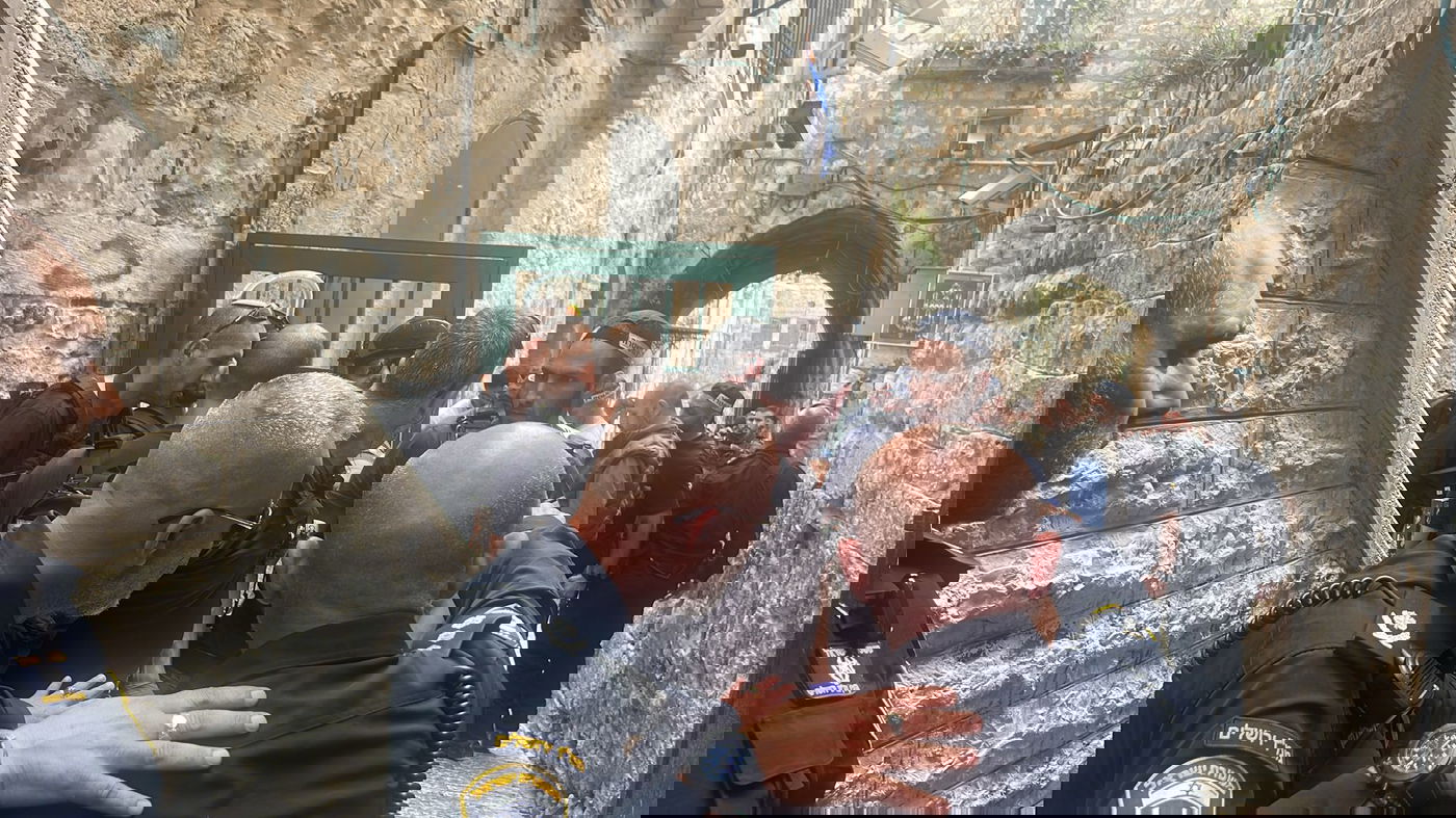 כוחותמ שטרה בזירה