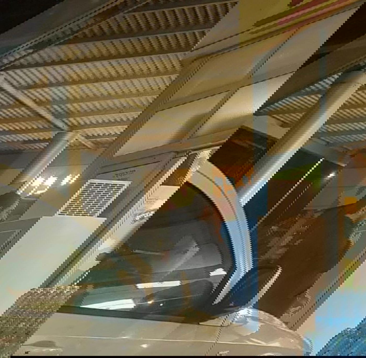 זופניק בכיכר • כל התמונות, הנייעס והחשיפות של פסח והמסתעף