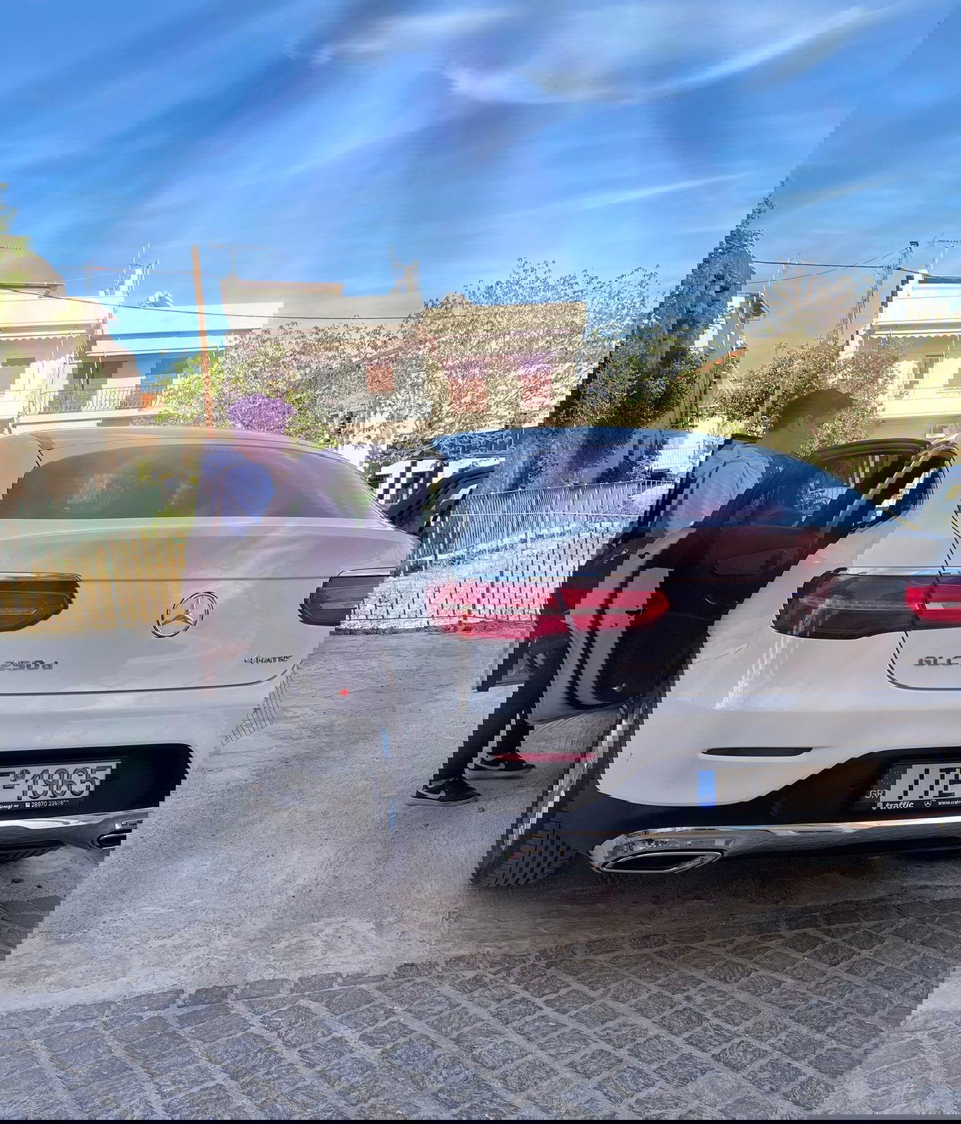 זופניק בכיכר • כל התמונות, הנייעס והחשיפות של פסח והמסתעף