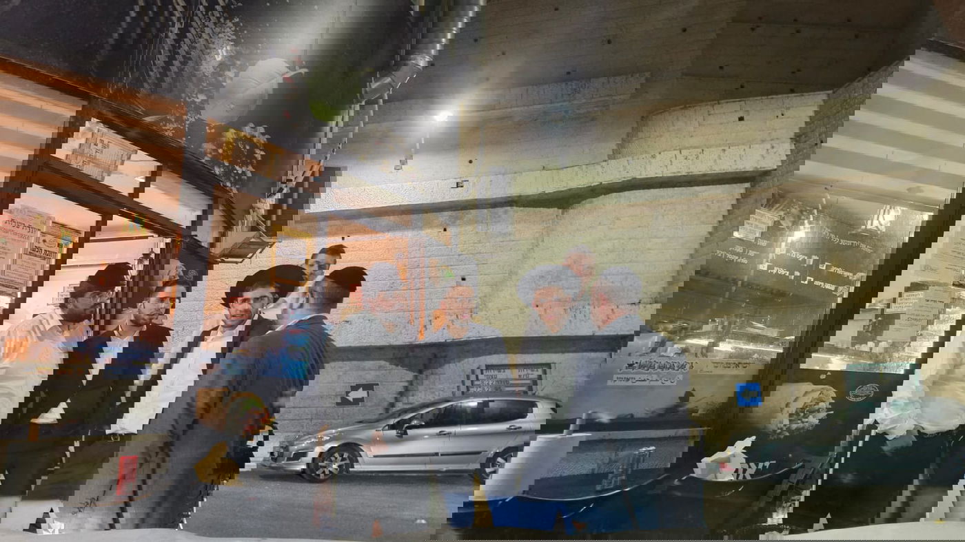 זופניק בכיכר • כל התמונות, הנייעס והחשיפות של פסח והמסתעף