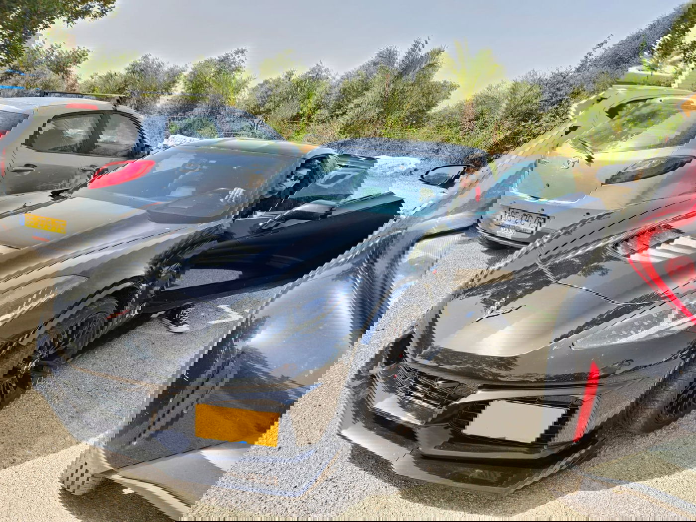 זופניק בכיכר • כל התמונות, הנייעס והחשיפות של פסח והמסתעף