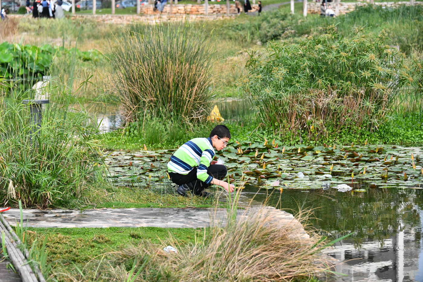 בין הזמנים בפארק בלינסון בפ"ת