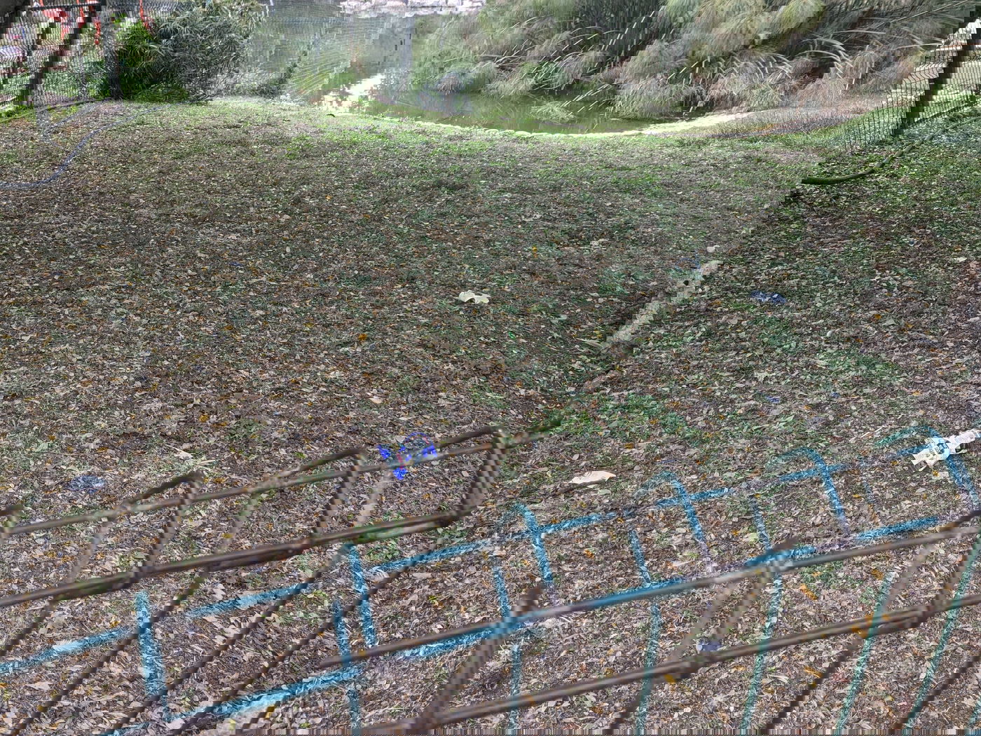 המצלם מצא גם שקית במבה לתעד. הייתי מצפה ליותר נוכח התיאורים, אבל בסיידר.