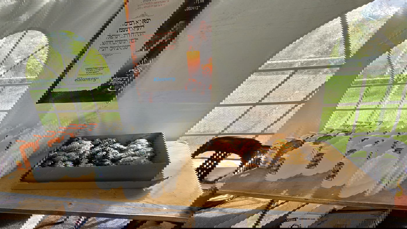 יאר צייט ראשון לר' מיכאל שניצלער