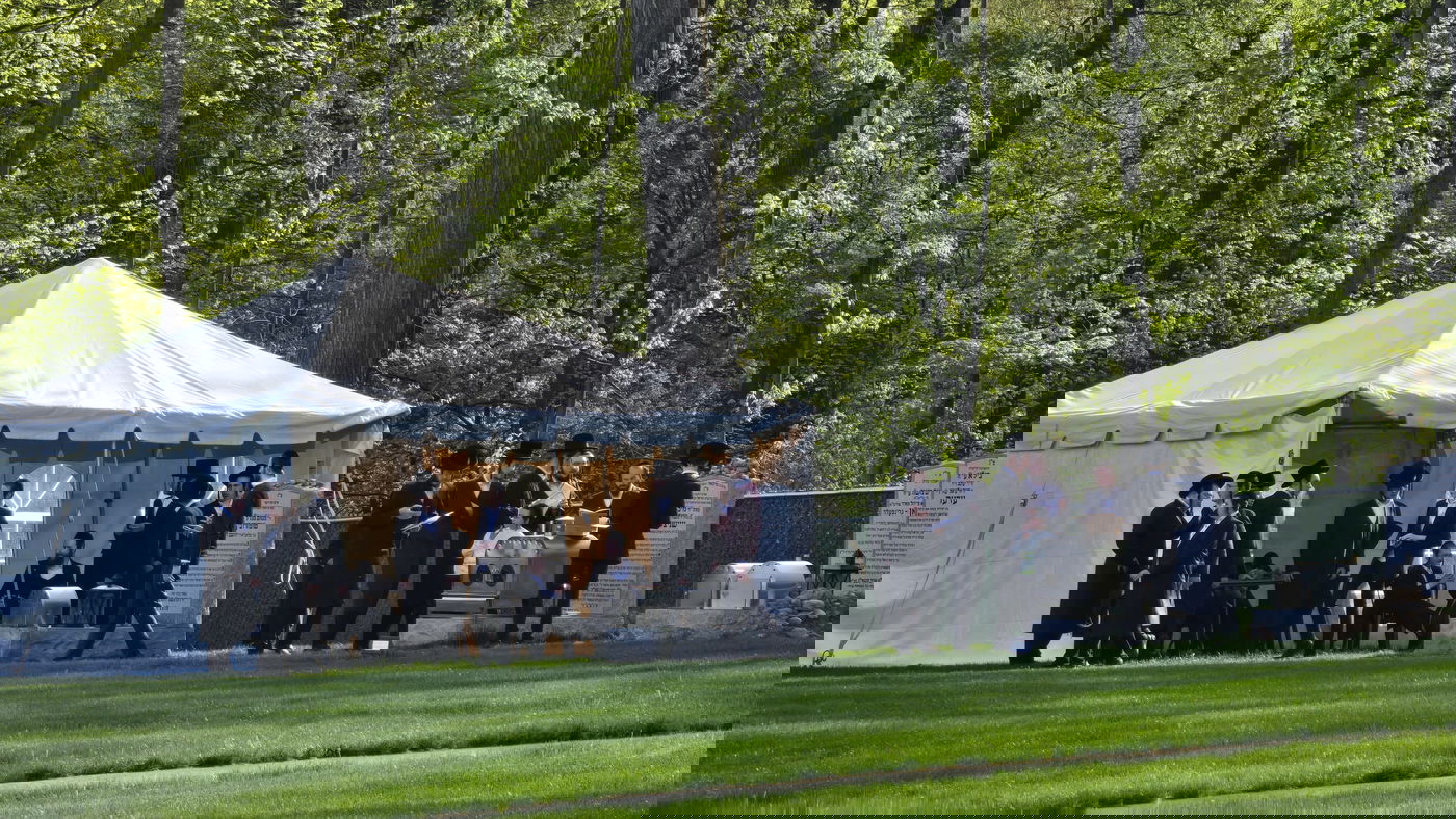 יאר צייט ראשון לר' מיכאל שניצלער