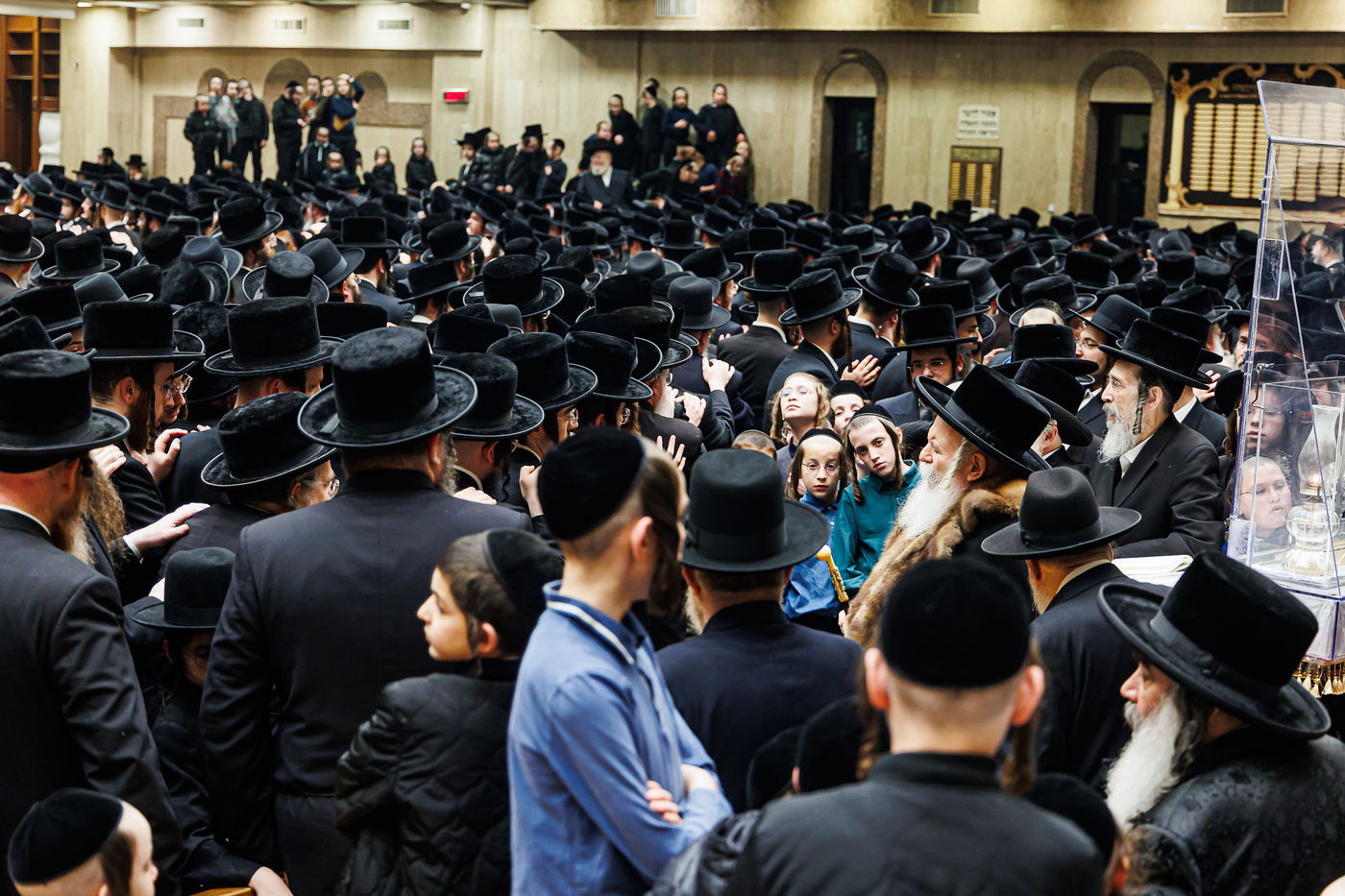 חג הפסח בחצה"ק באבוב