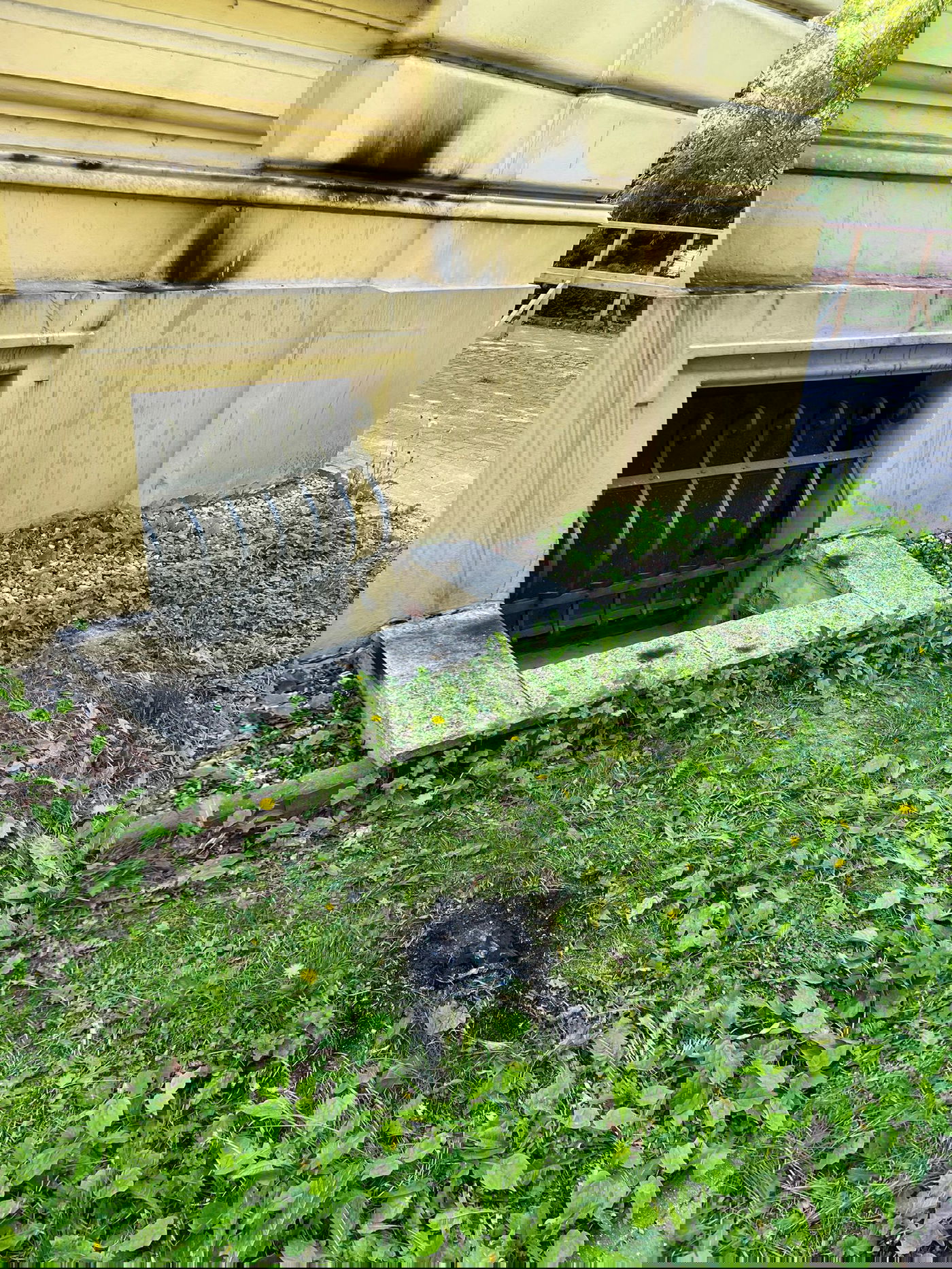 הנזק שנגרם בבית הכנסת