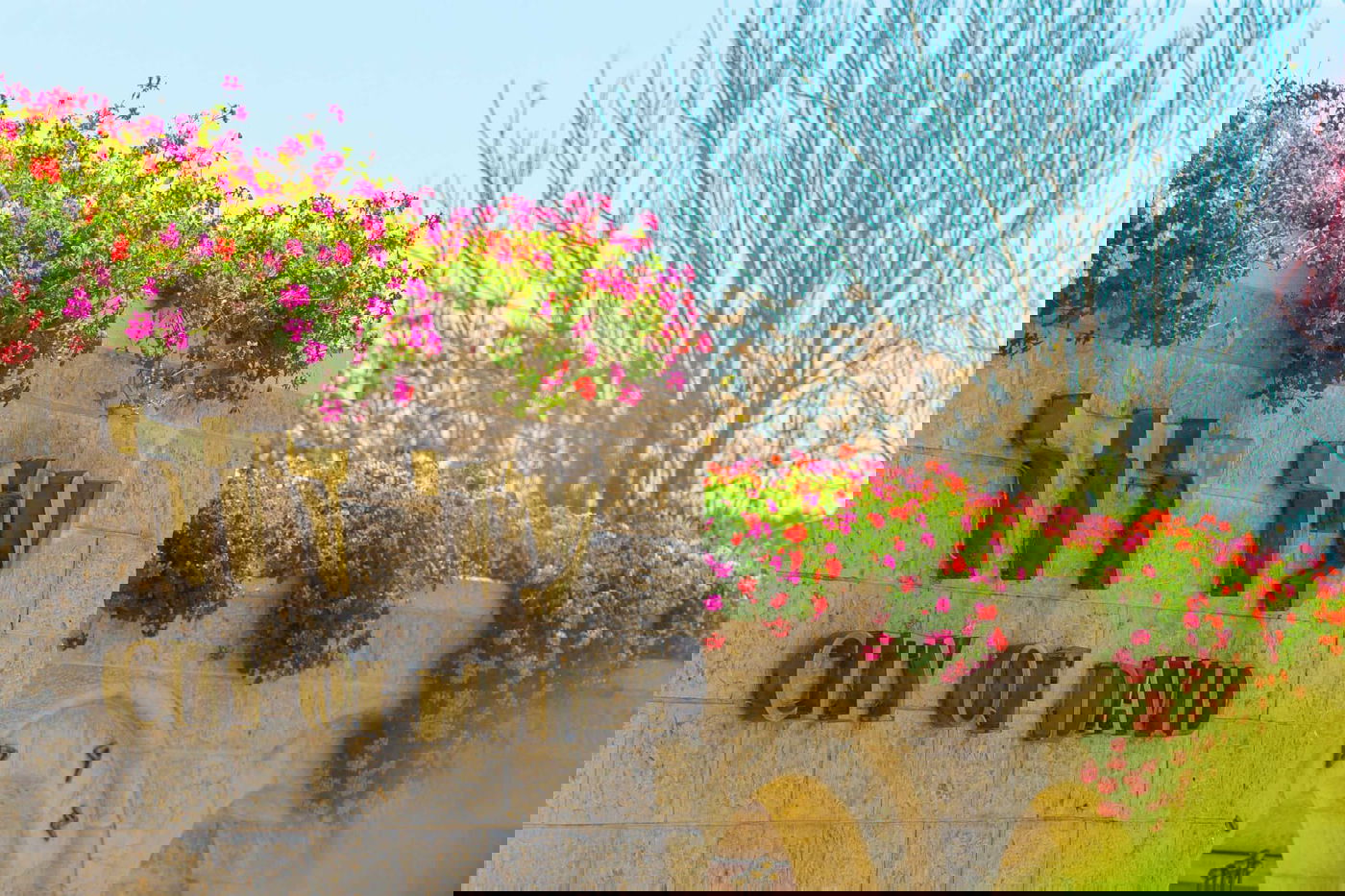 הכניסה  הראשית לעיר דוד