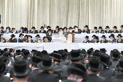 הילולא בצאנז