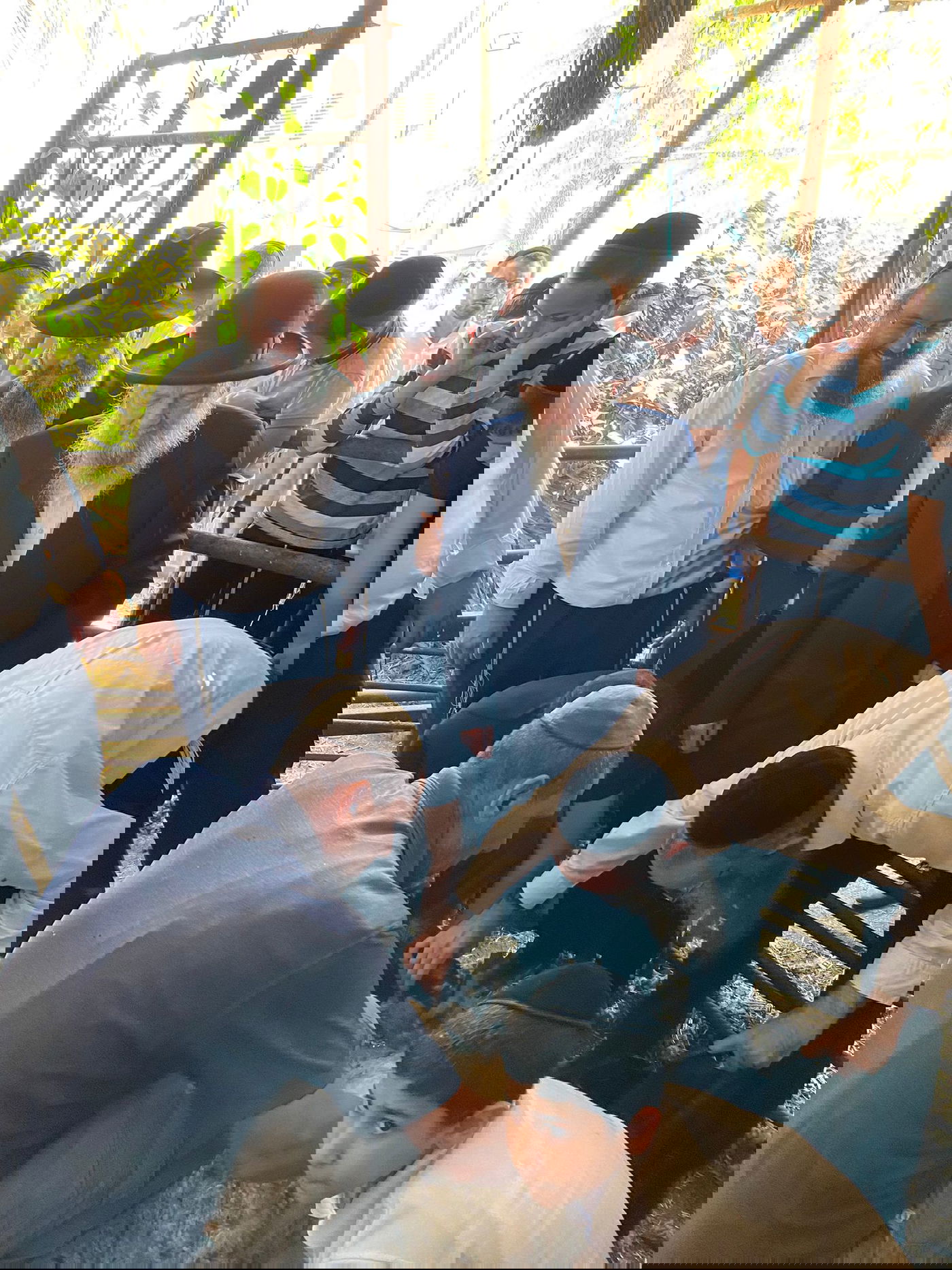 הגר"ד בצרי במצוות 'ראשית הגז'