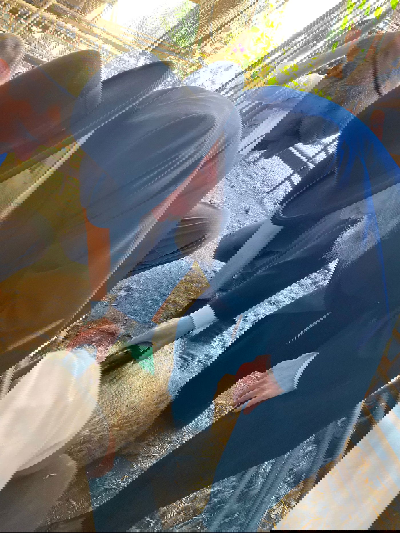 הגר"ד בצרי במצוות 'ראשית הגז'