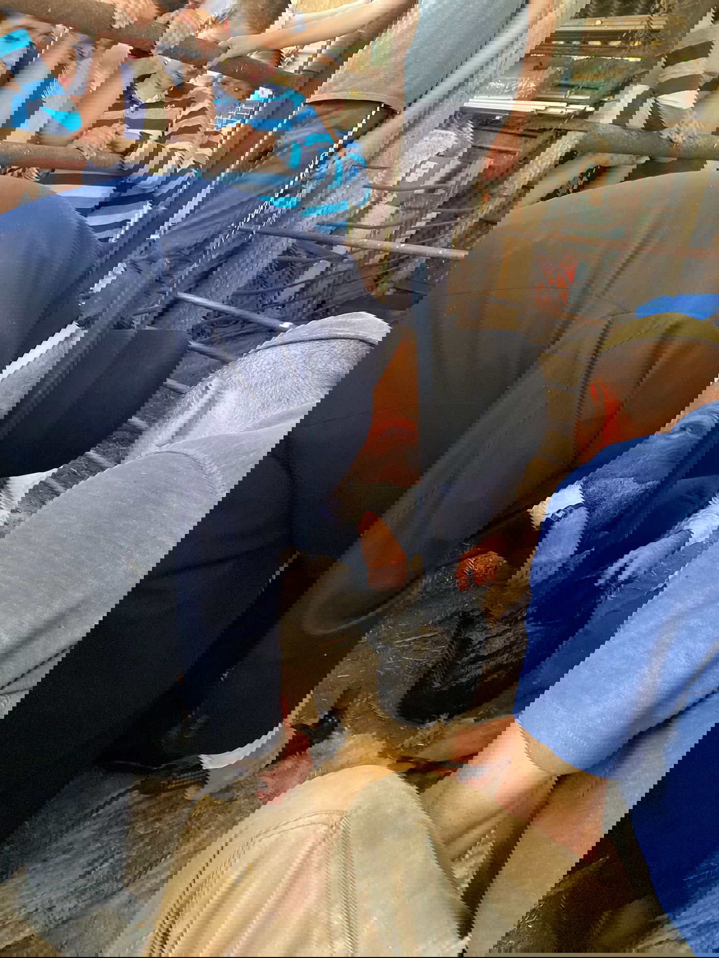 הגר"ד בצרי במצוות 'ראשית הגז'