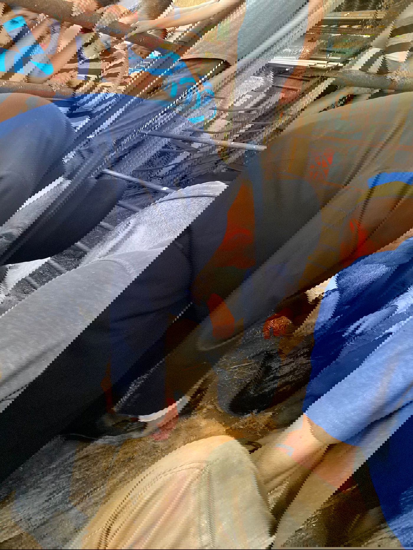 הגר"ד בצרי במצוות 'ראשית הגז'