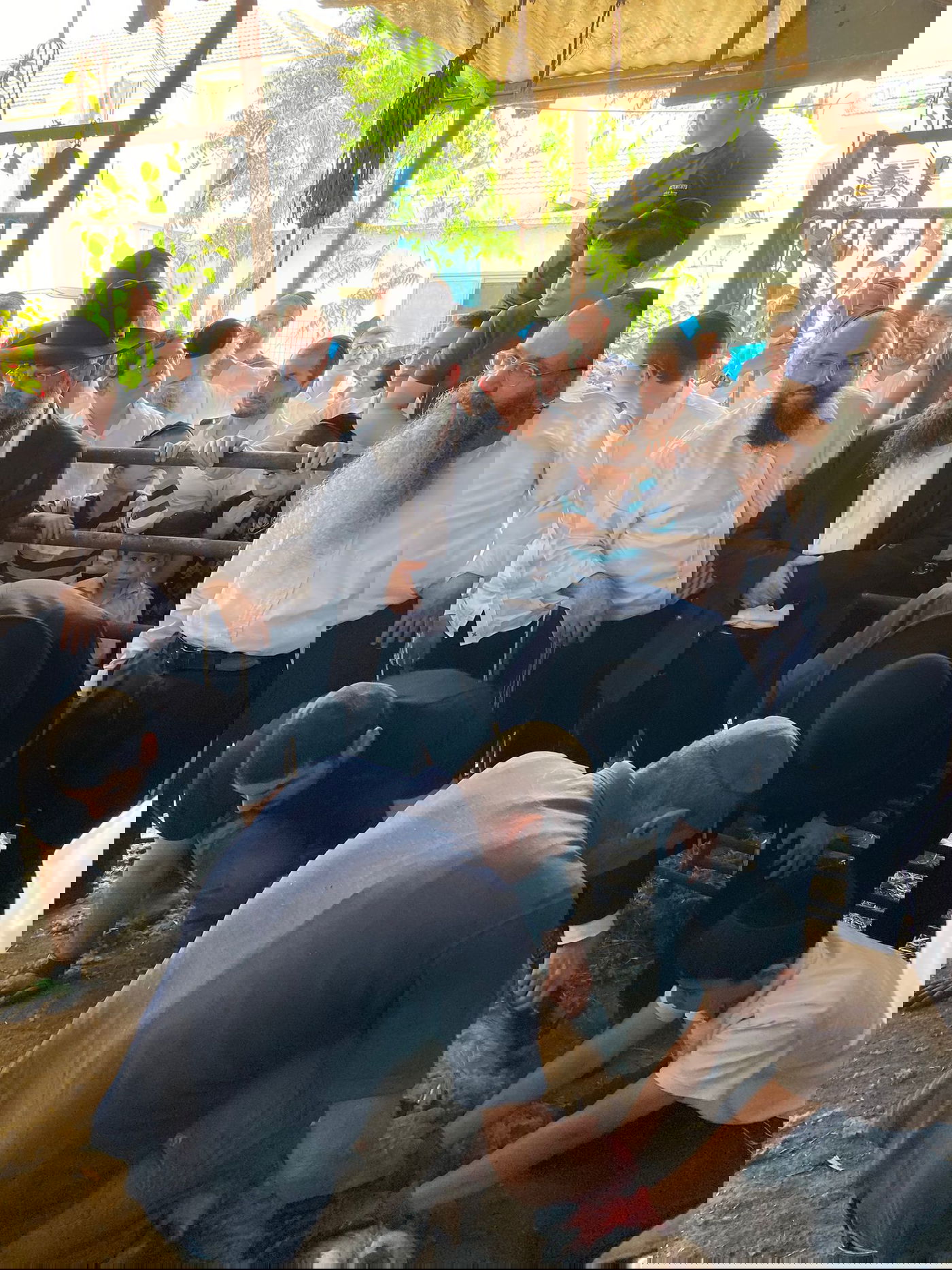 הגר"ד בצרי במצוות 'ראשית הגז'