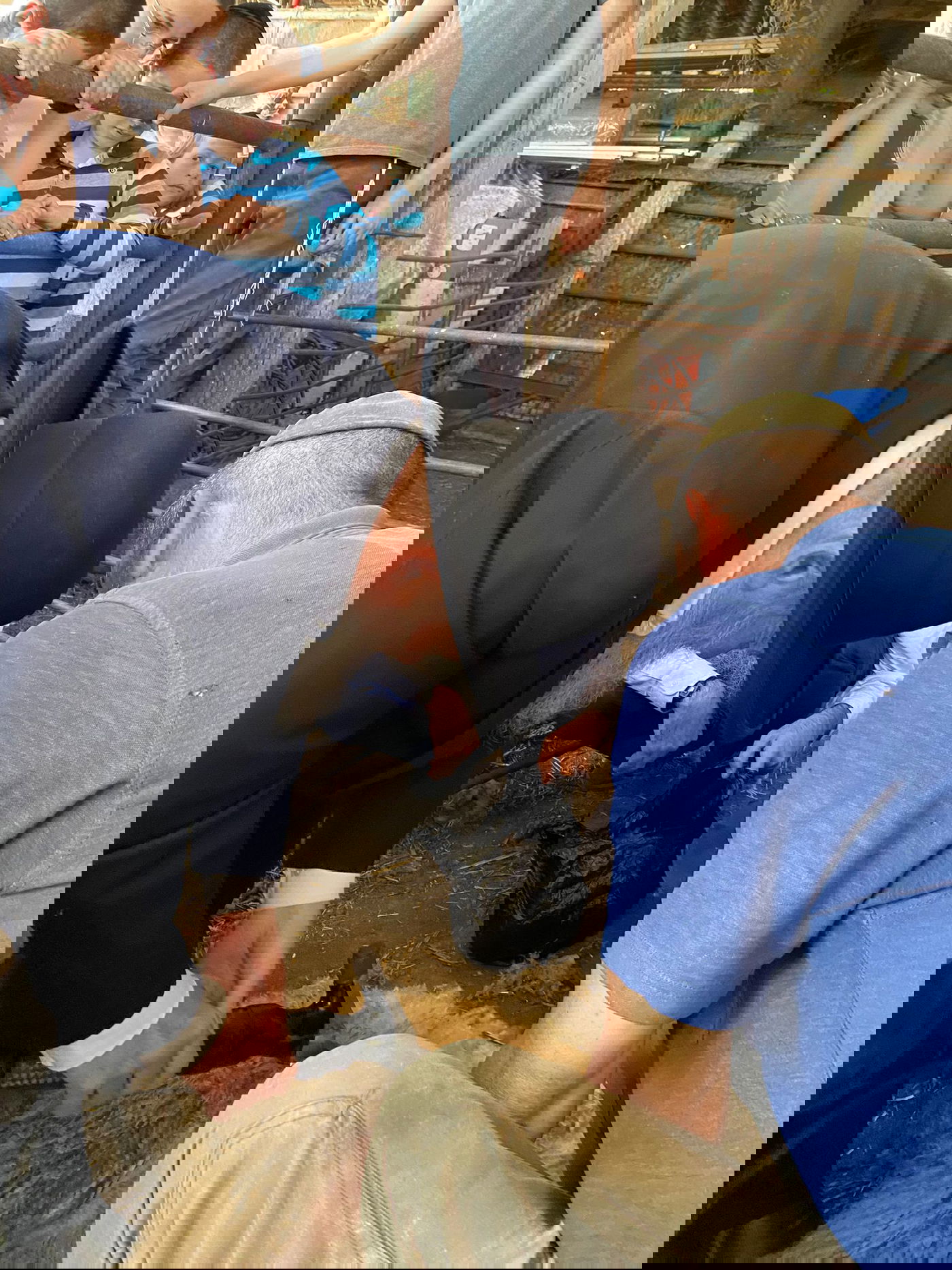 הגר"ד בצרי במצוות 'ראשית הגז'