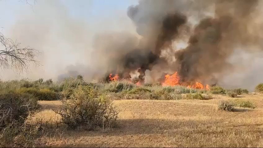 השריפה בנחל הבשור