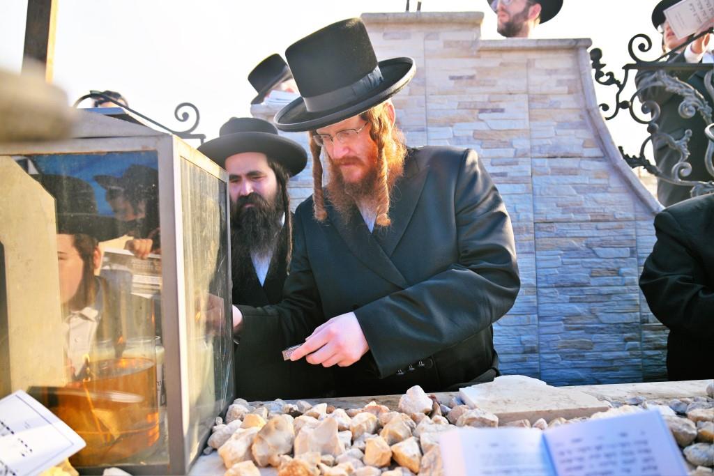 טיש הילולא בקאליב