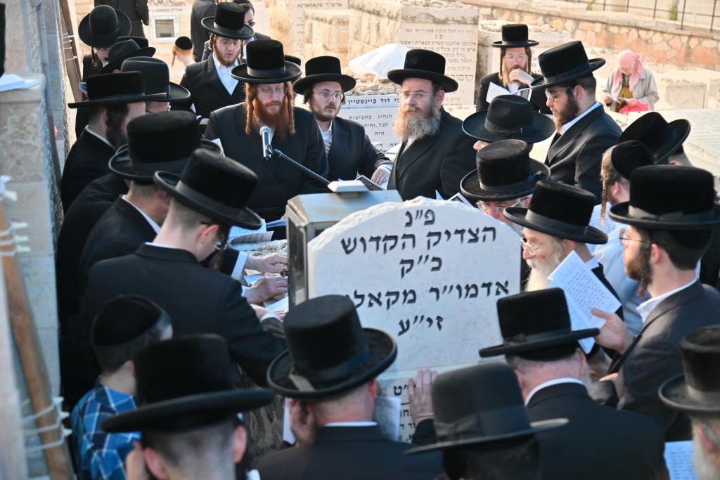 טיש הילולא בקאליב