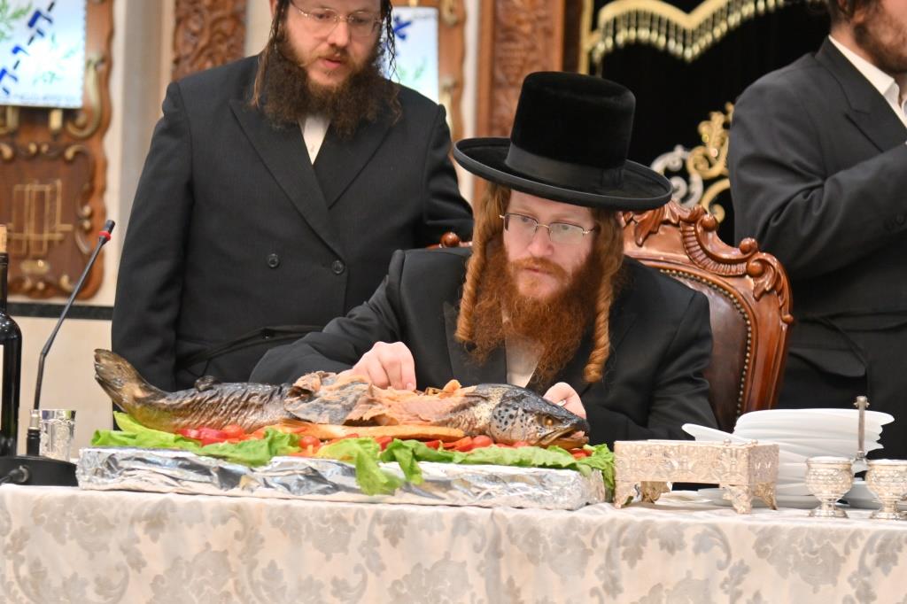 טיש הילולא בקאליב