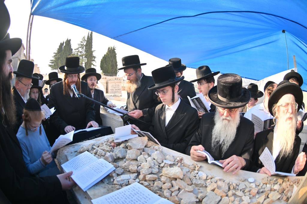 טיש הילולא בקאליב