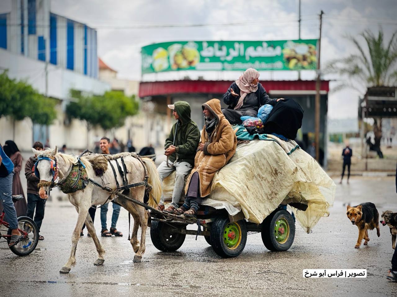 תושבים עזתיים בורחים מרפיח