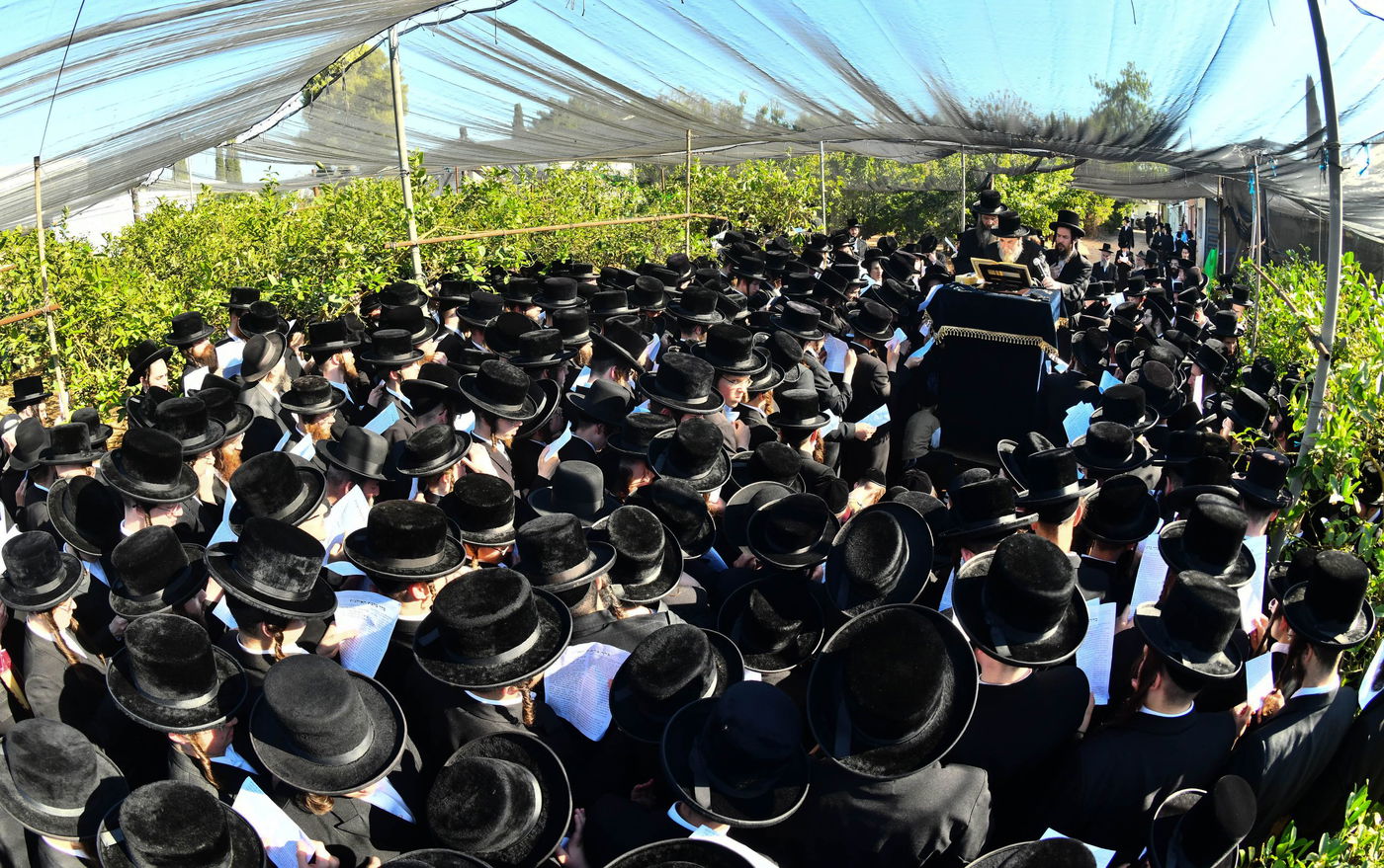 ברכת האילנות רחמסטריווקא