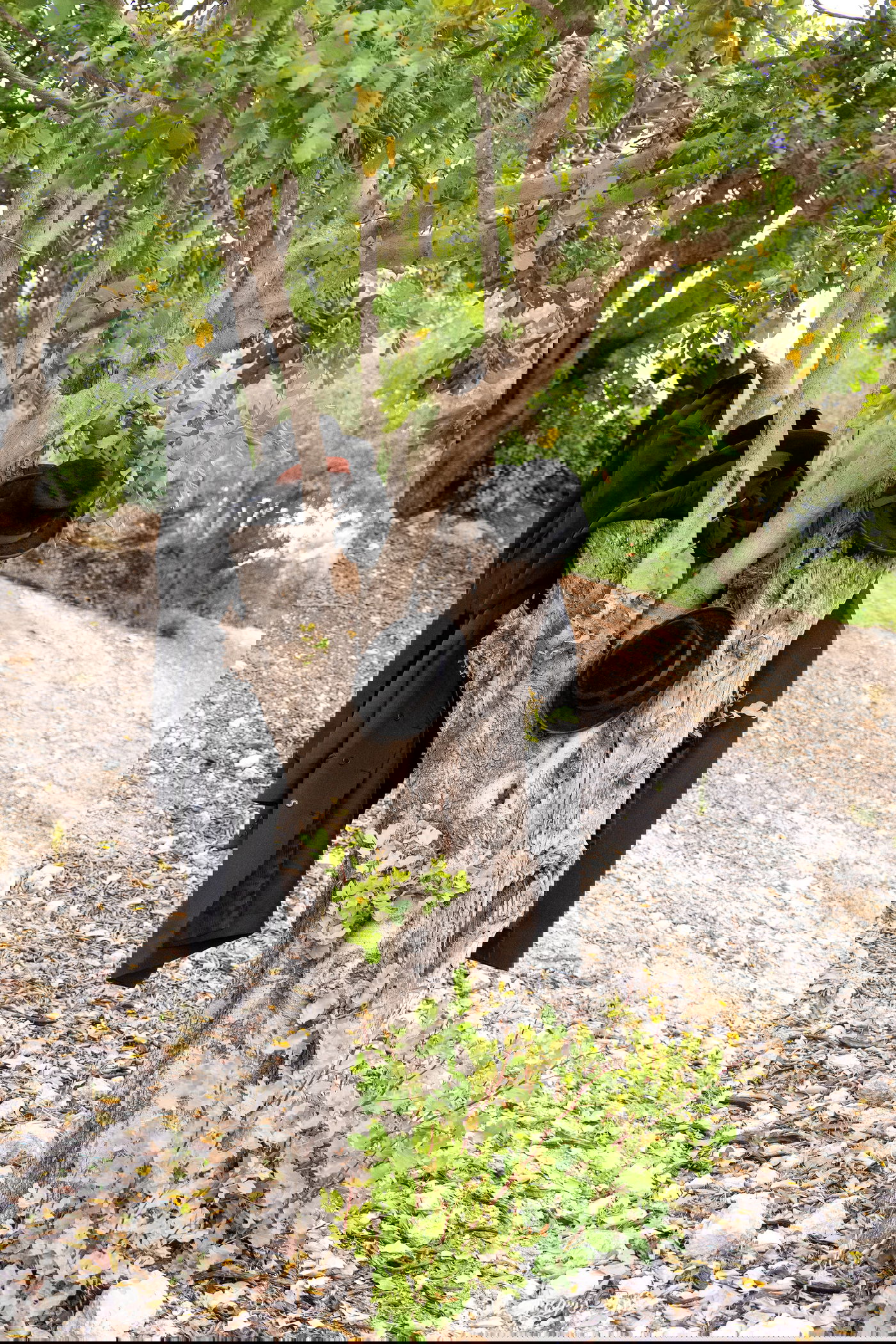 חזרה ללימודים בבני ברק