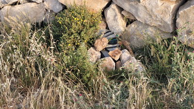 הפעילים ניצלו בנס: מטען חבלה הוטמן במזבח יהושע בן נון