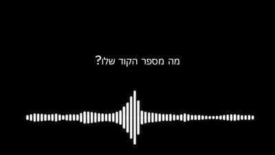 נהג המונית, המנקה הפלסטינית ומעטפת השטרות המזויפים: כך נתפסו העבריינים | צפו