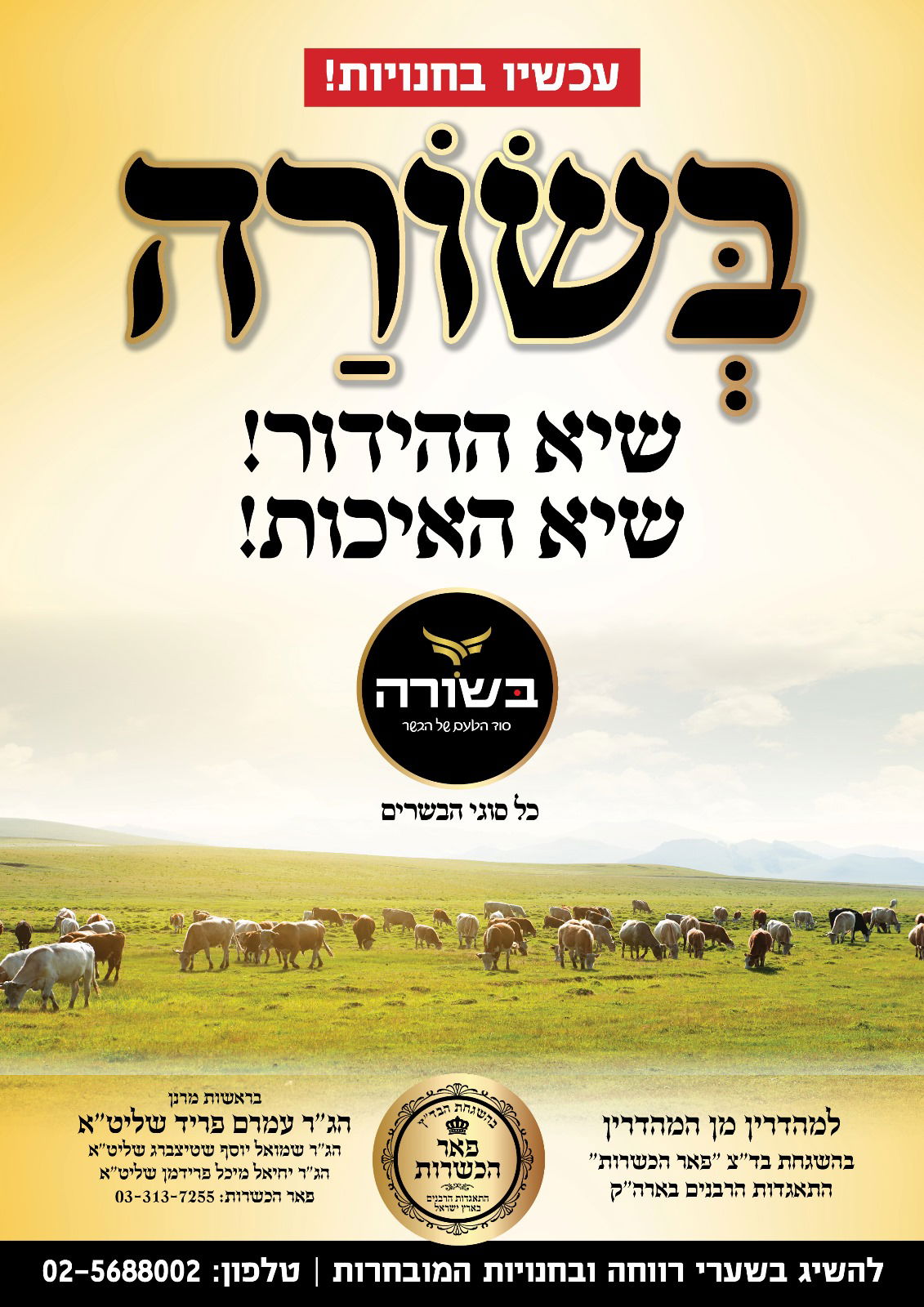 להפוך בשר כשר איכותי לנגיש באופן נרחב מבלי להתפשר על שלמות הכשרות