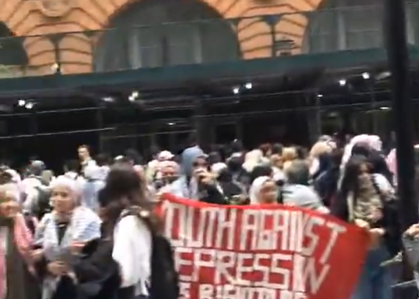 מפגינים פרו-פלסטינים 