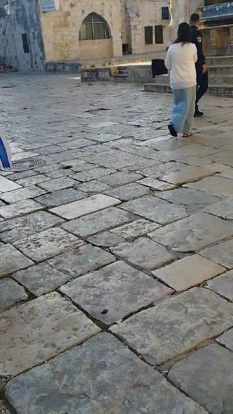 תיעוד הנפת הדגל