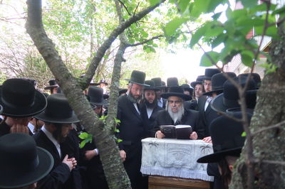 האדמו"ר מסאטמר בברכת האילנות