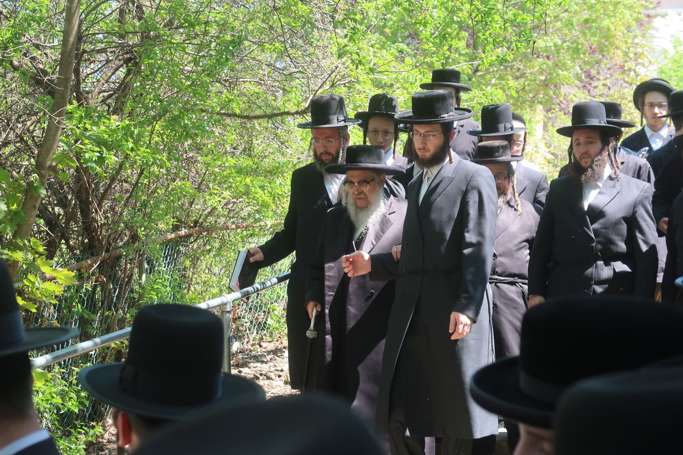 האדמו"ר מסאטמאר בברכת האילנות