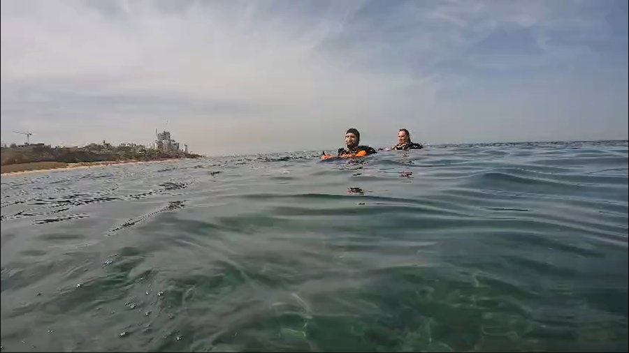 צלילה בחוף העליה. כרישי טריגון, סקוטרים ואוניית הבוטנים