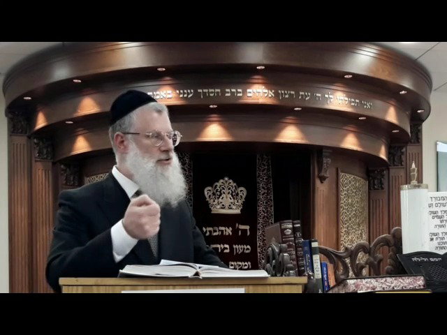 הרב אברהם יוסף שוורץ, על פרשת אמור