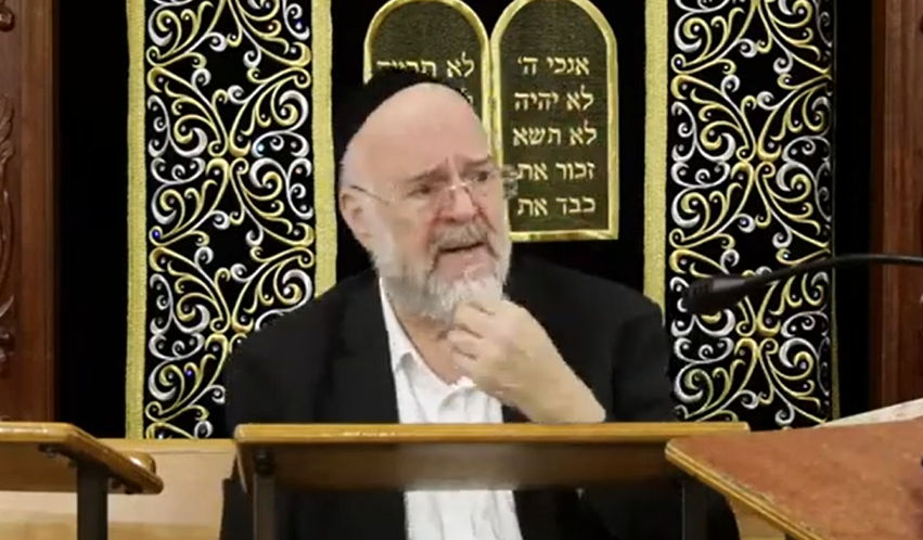השיעור לפרשת אמור