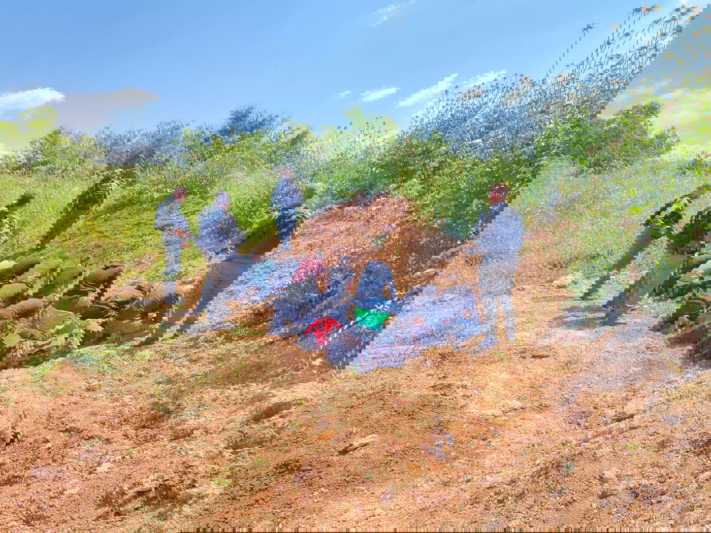 לא רק באמבולנס: זה מספר השב"חים שנתפסו השבוע בארץ