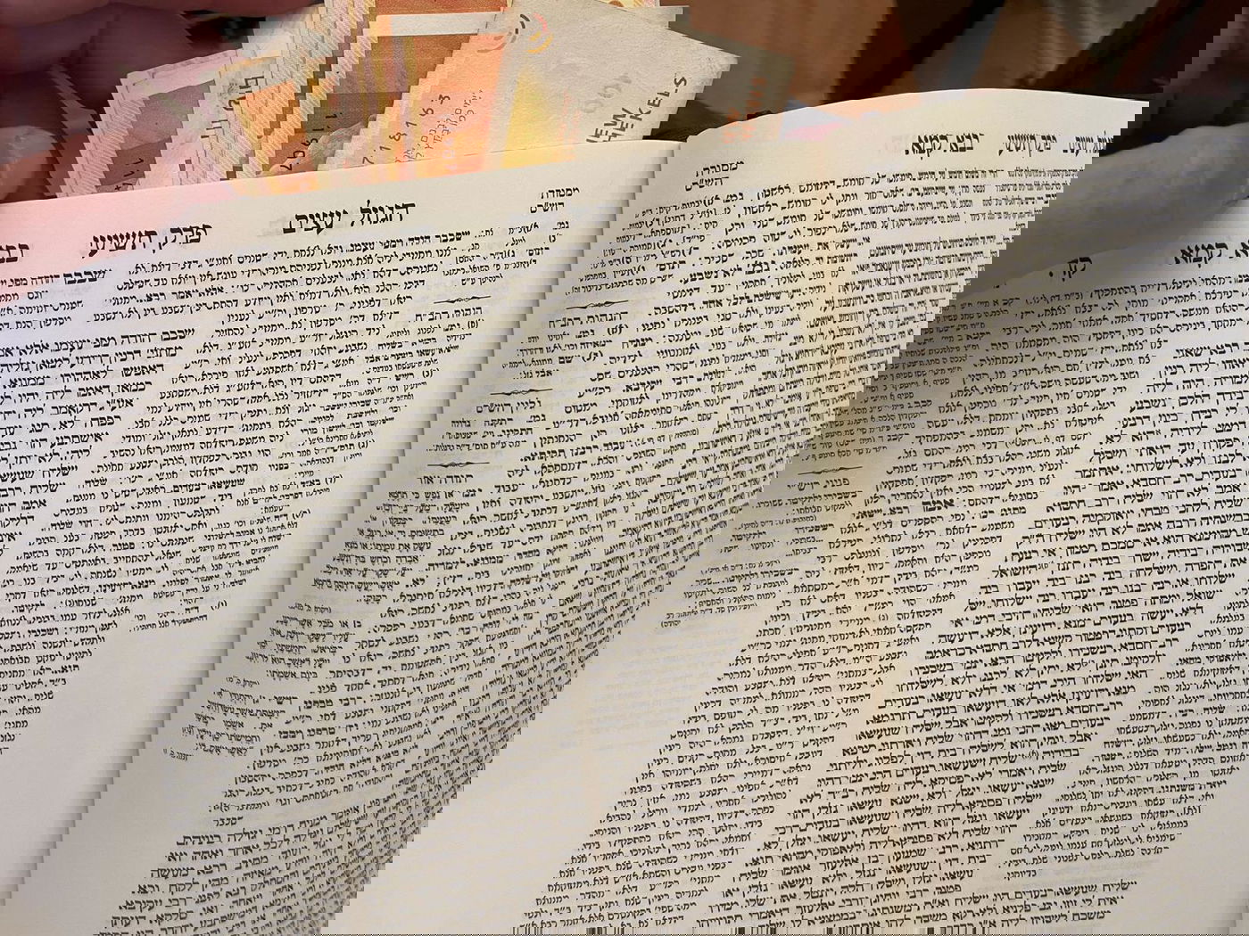 ההוצאה החדשה של פרק הגוזל עצים בחסות מעושר השקות 