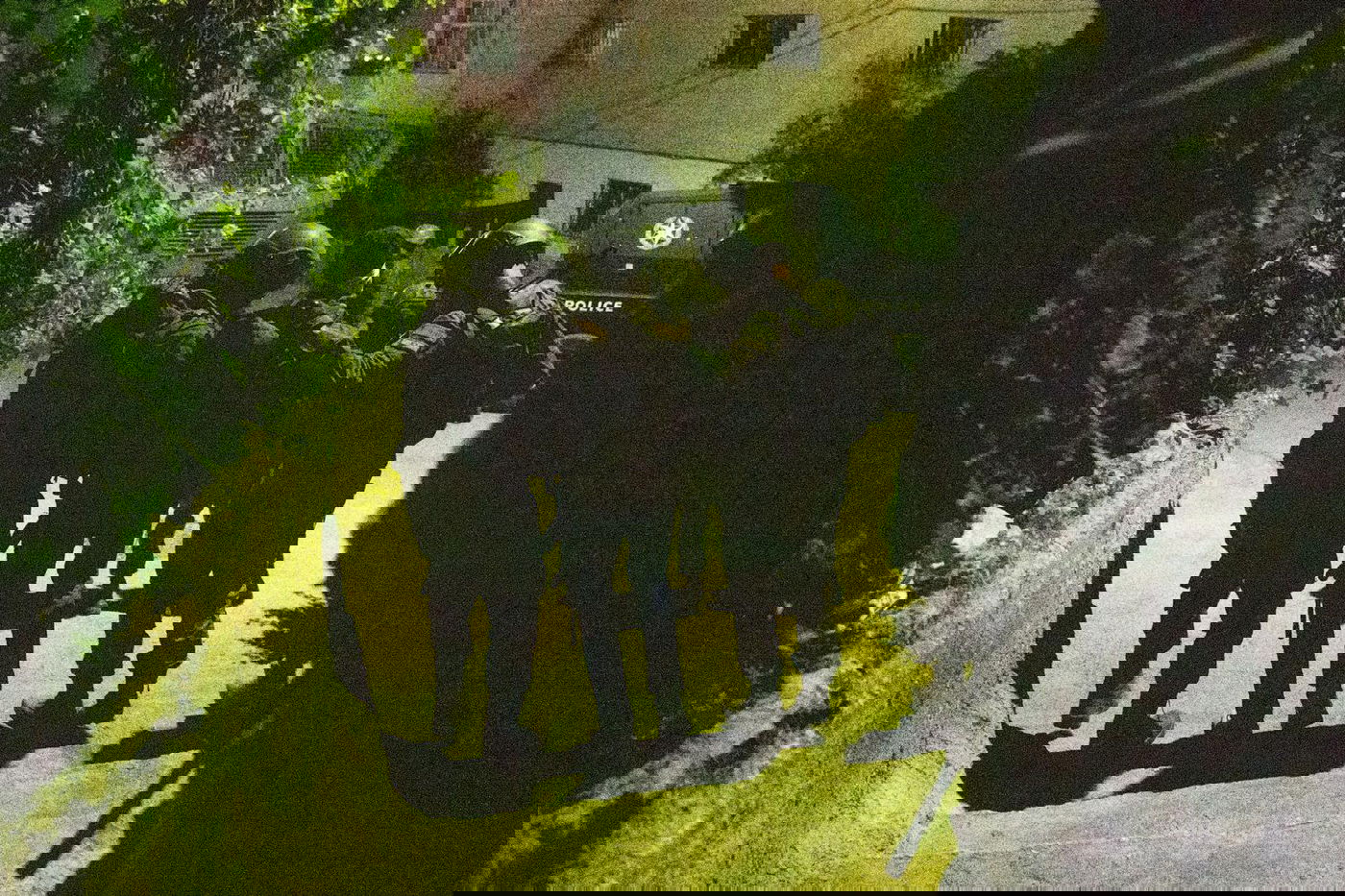 תיעוד מהפעילות