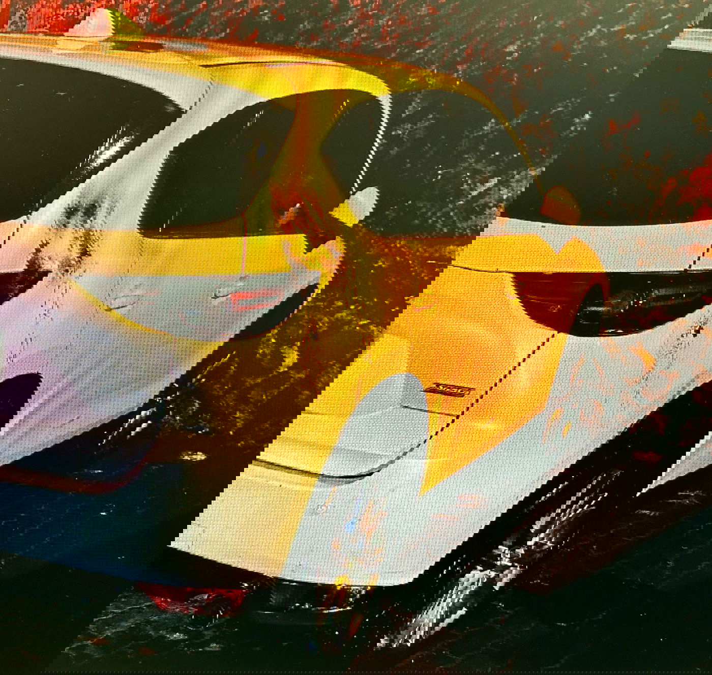 הנזק שנגרם ומעצרו של החשוד על ידי השוטרים