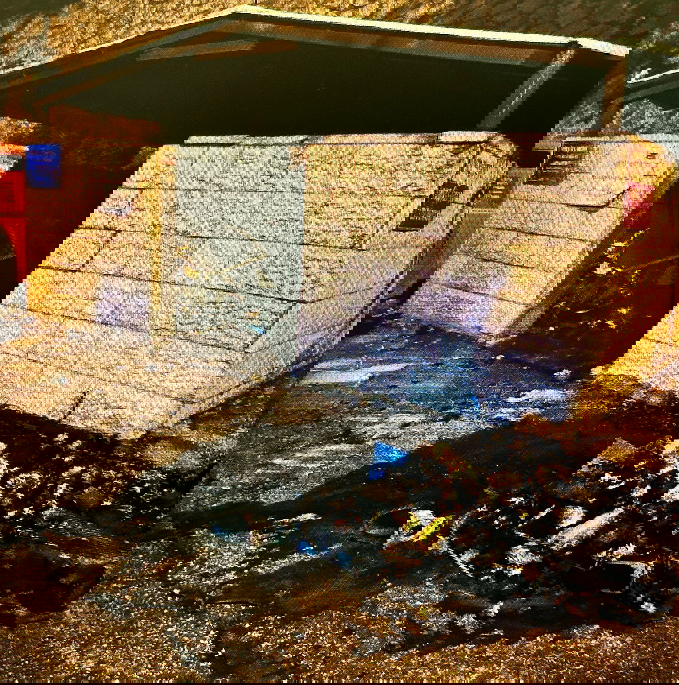 הנזק שנגרם ומעצרו של החשוד על ידי השוטרים