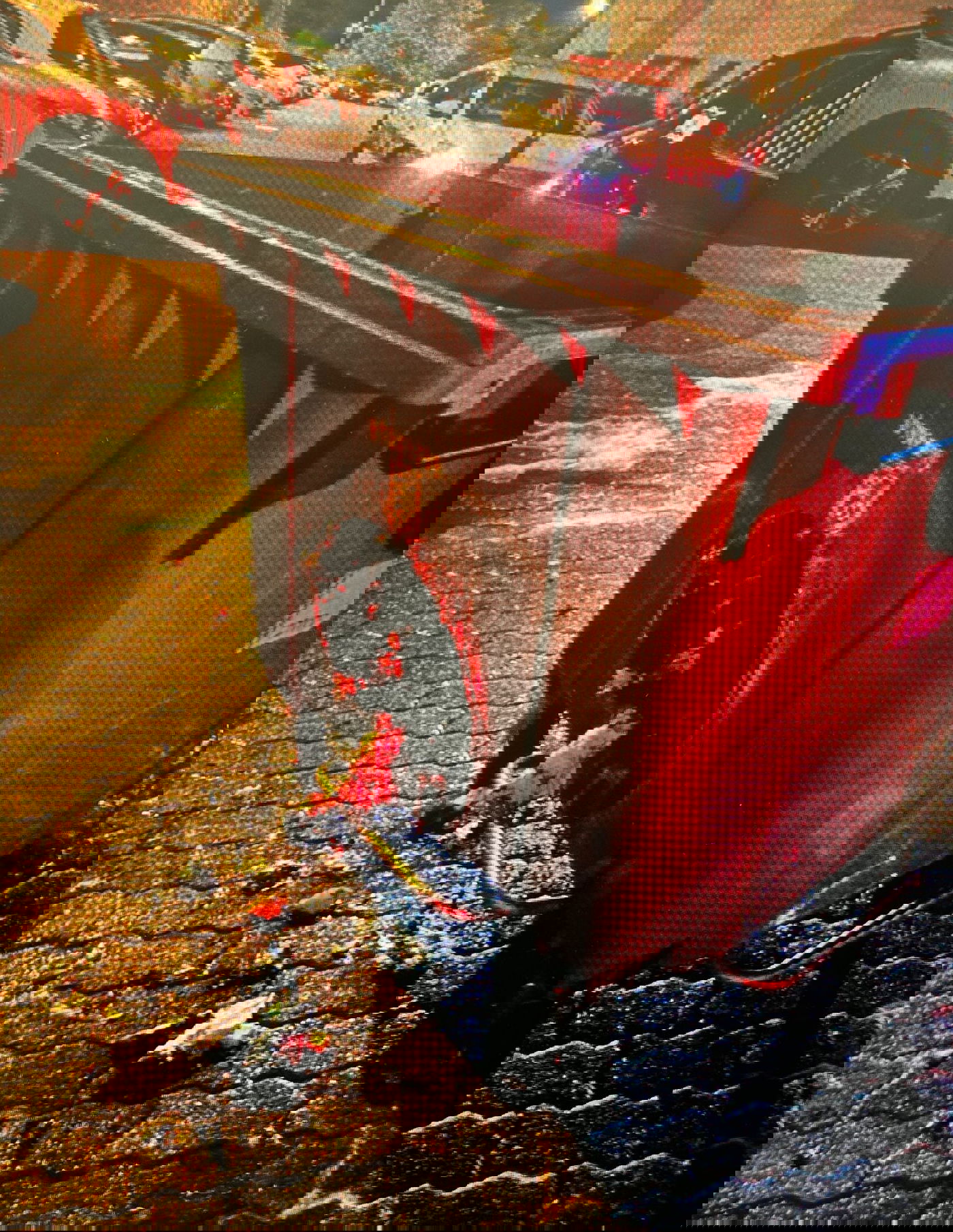 הנזק שנגרם ומעצרו של החשוד על ידי השוטרים