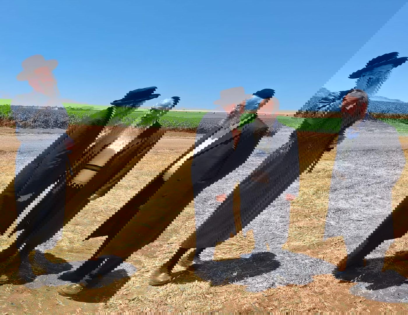 קצירת חיטים תשפ"ד