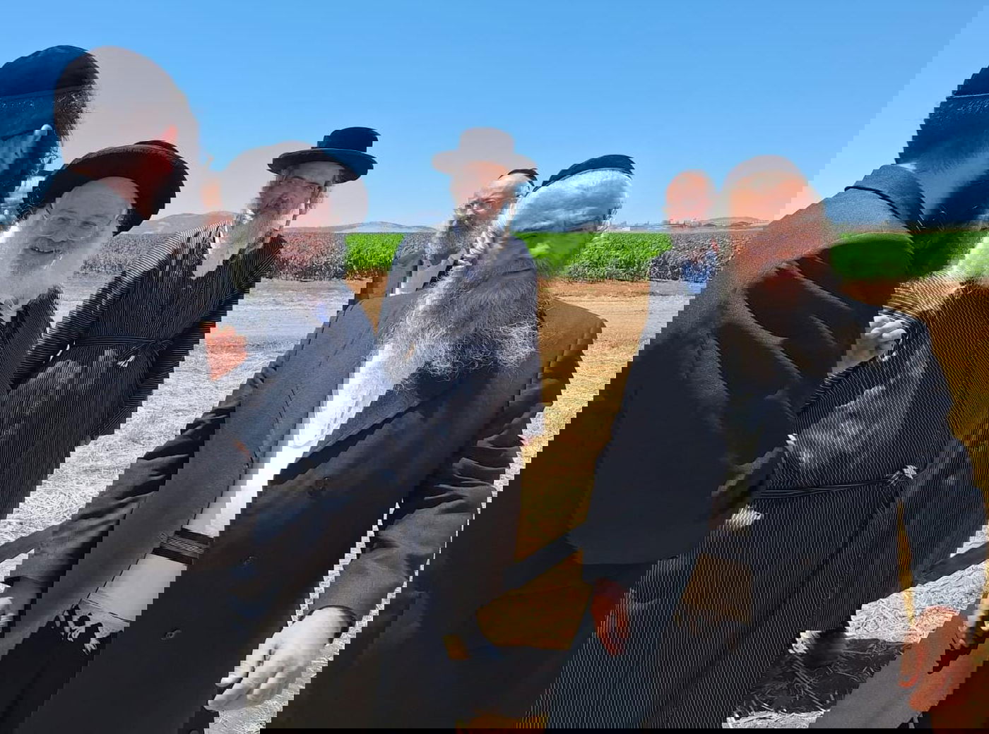 קצירת חיטים תשפ"ד