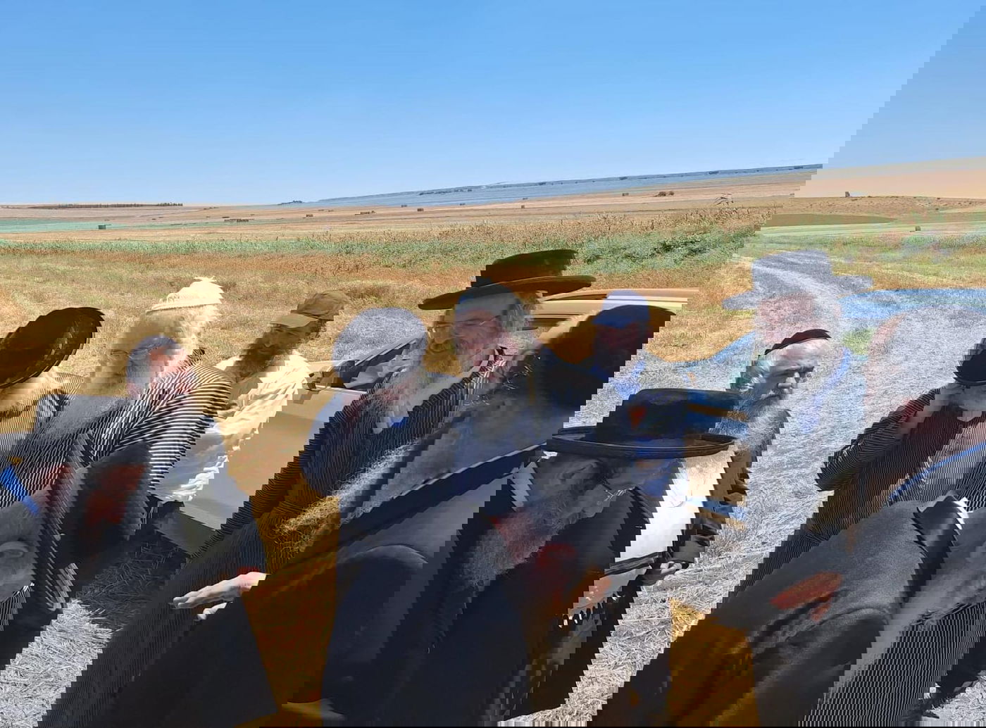 קצירת חיטים תשפ"ד