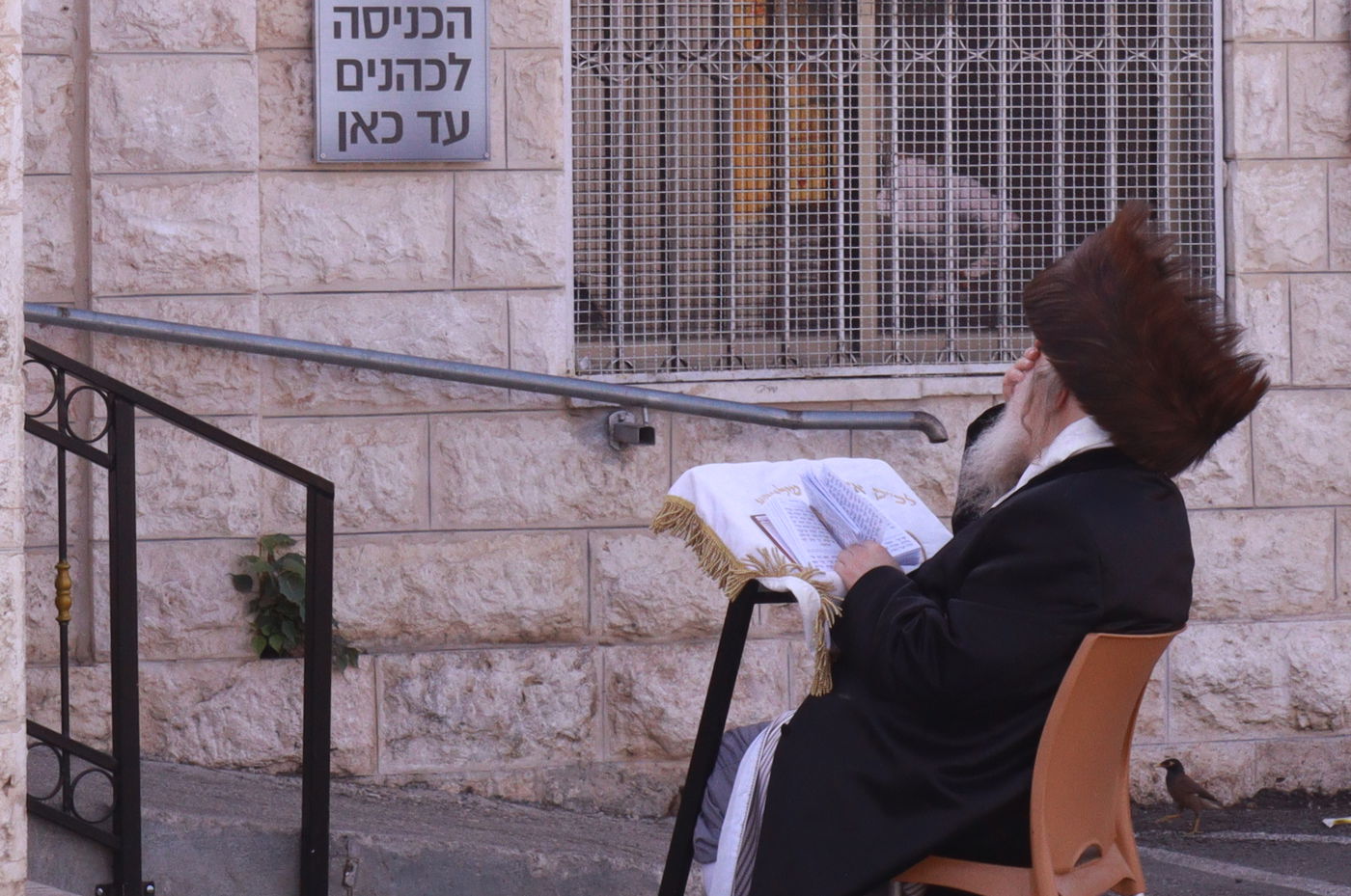 האדמו"ר ממבקשי אמונה בנתיבות 